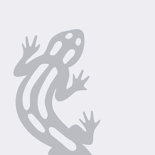 Введення надбавки до вартості SALAMANDER Введення надбавки до вартості SALAMANDER